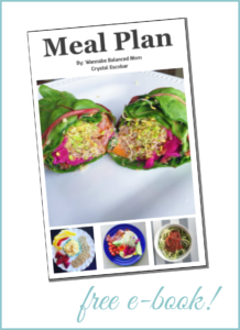 Download Wannabe Balanced Meal Plan